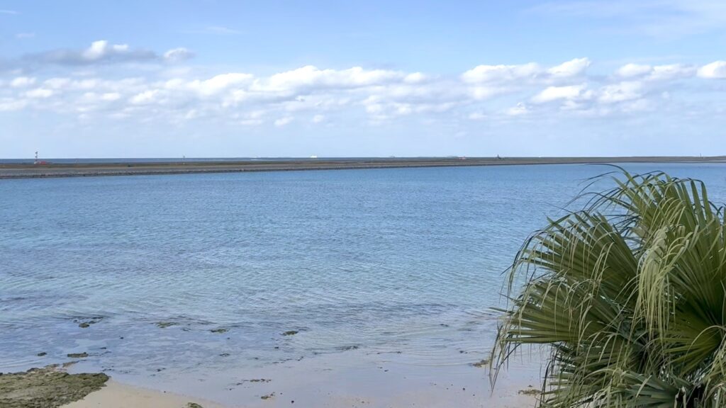 ウミカジテラスから見える海の景色