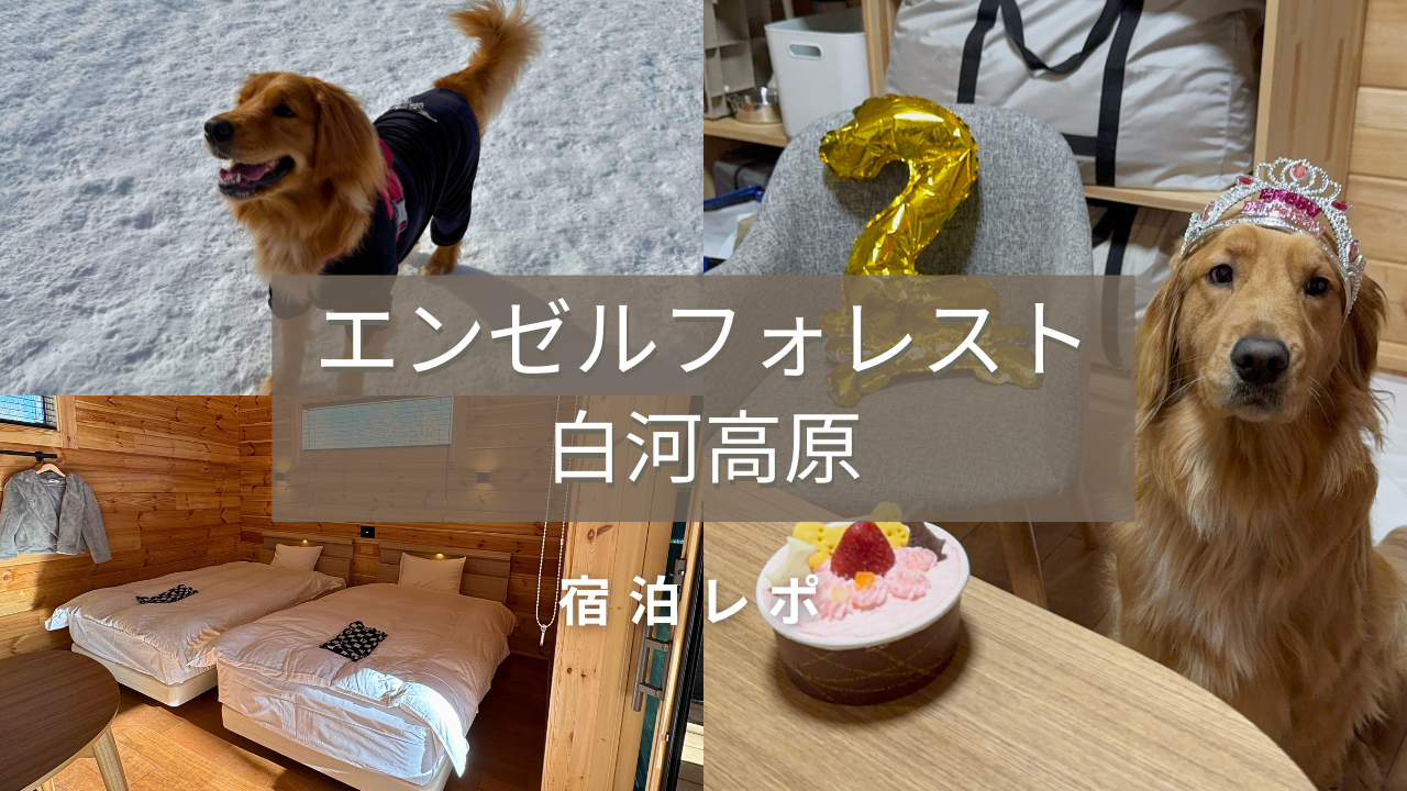 エンゼルフォレスト白河高原のアイキャッチ画像