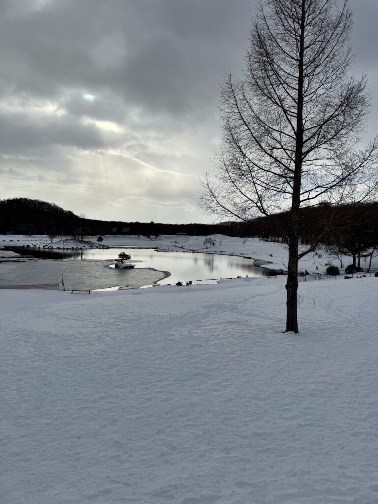 エンゼルフォレストに到着した時の雪景色