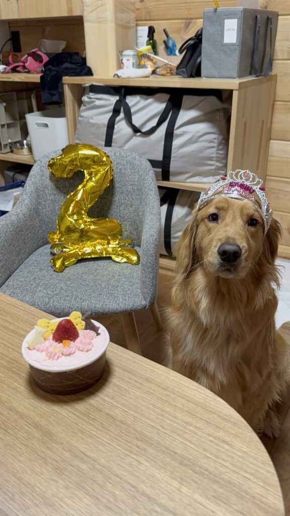 愛犬の誕生日2歳をお祝い